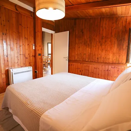 Experience At The New Bazaar * Tiran