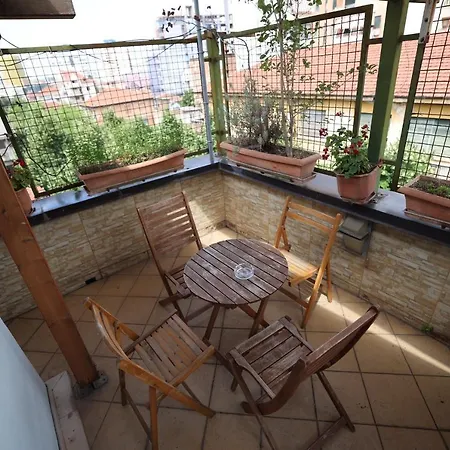 Experience At The New Bazaar Tirana